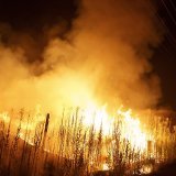 Les plus de dix millions d'hectares déjà brûlés au Canada représentent plua de 11 fois la moyenne sur un an de la dernière décennie.